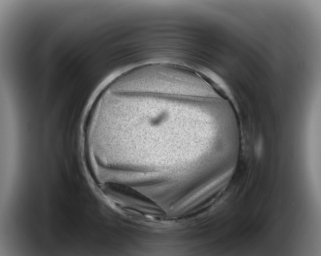 X0000086291096200704201918