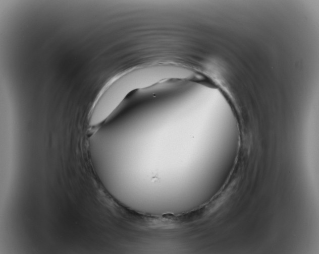 X0000086291097200704201918