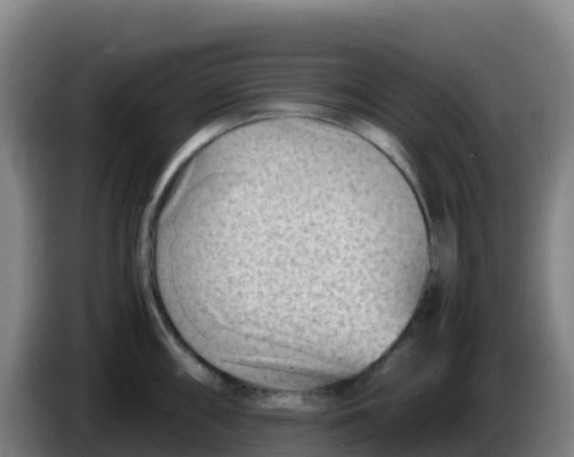 X0000086291098200704201918