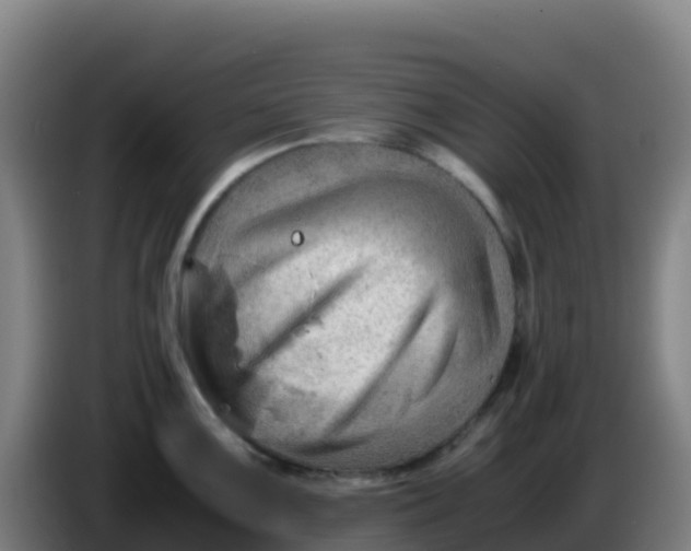 X0000086291099200704201918