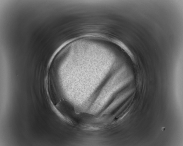 X0000086291100200704201918