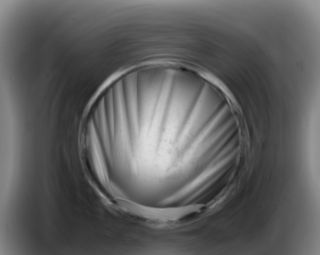 X0000086291101200704201918