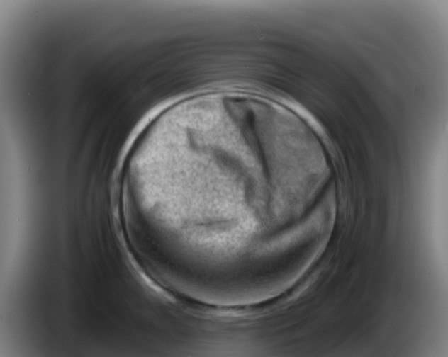 X0000086291102200704201918