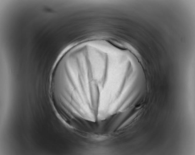 X0000086291103200704201918