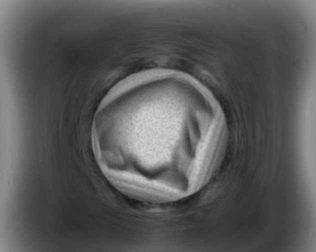 X0000086291105200704201917