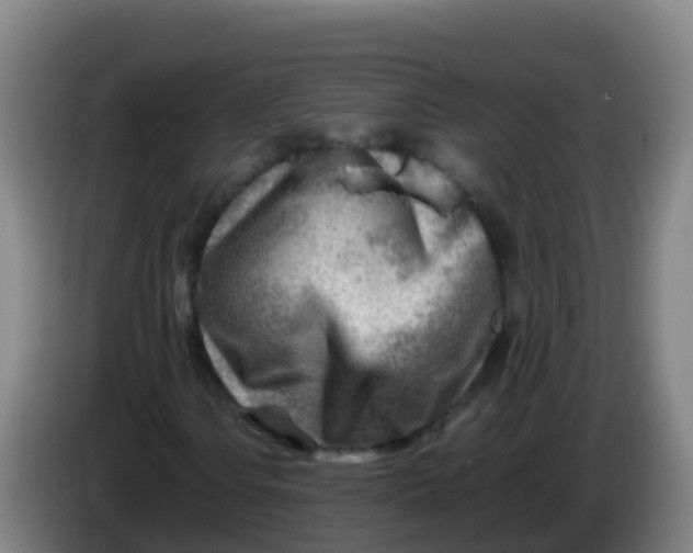 X0000086291106200704201917