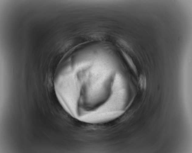 X0000086291107200704201917