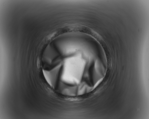 X0000086291108200704201917