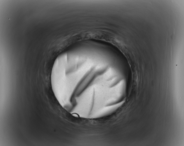 X0000086291109200704201917