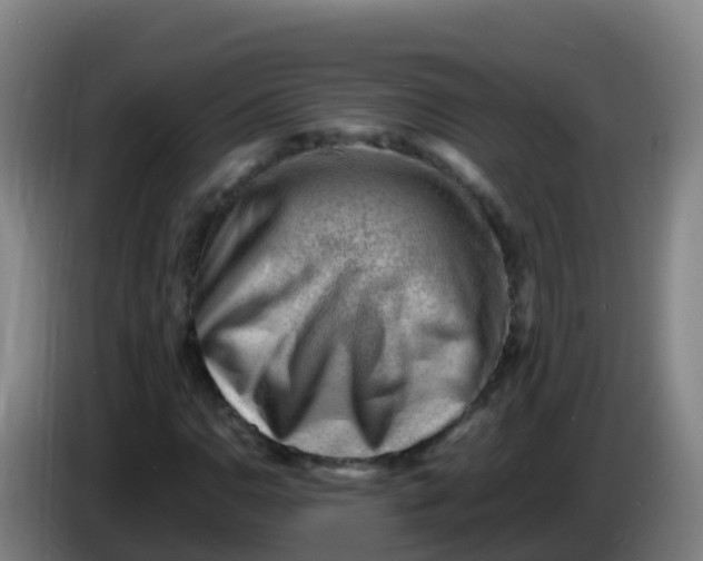 X0000086291110200704201917