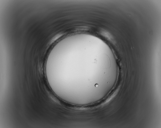 X0000086291113200704201917