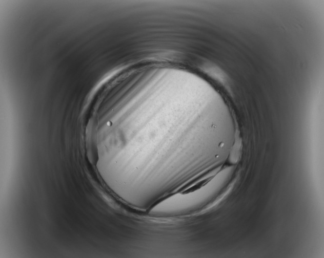 X0000086291114200704201917