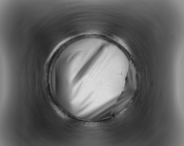 X0000086291116200704201917