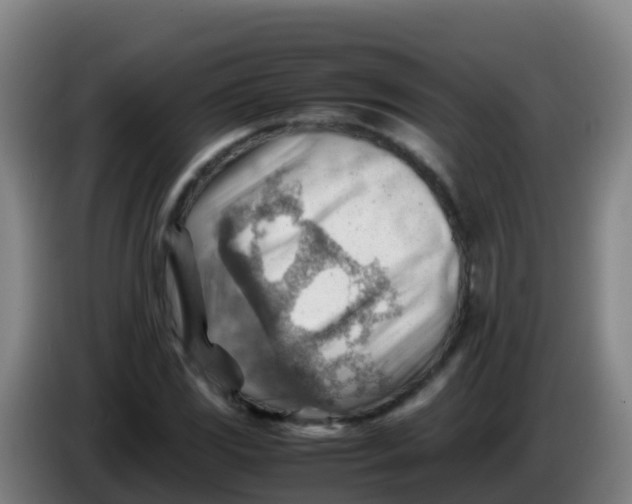 X0000086291117200704201917