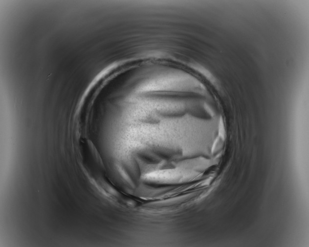 X0000086291118200704201917
