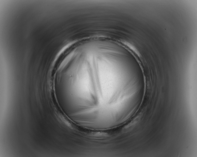 X0000086291119200704201917