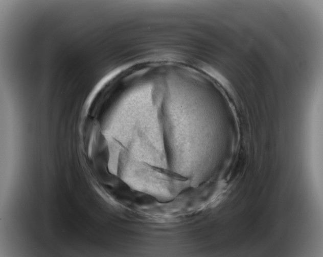 X0000086291120200704201918