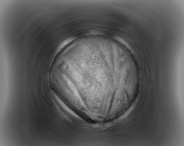 X0000086291121200704201918