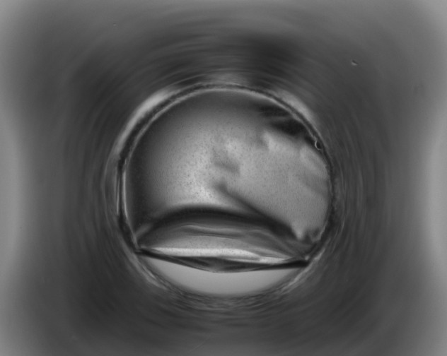 X0000086291123200704201918
