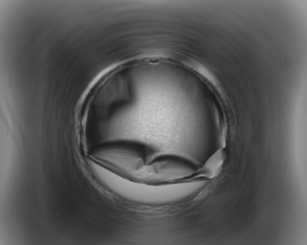 X0000086291124200704201918