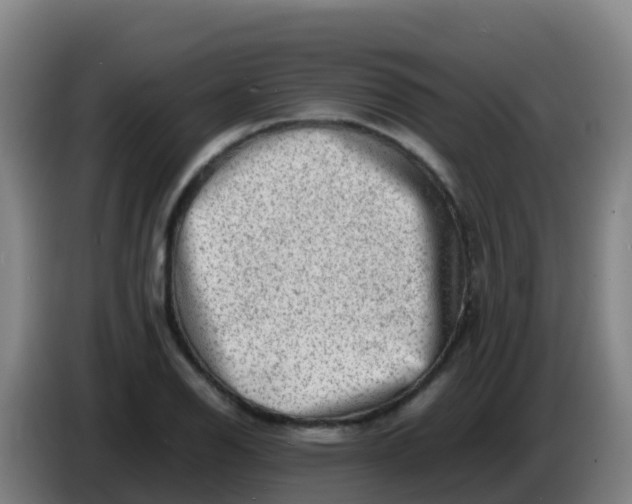 X0000086291126200704201918