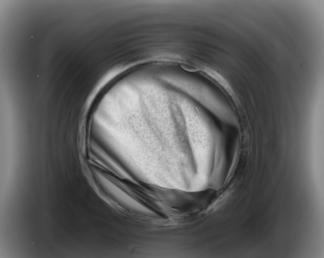 X0000086291128200704201918