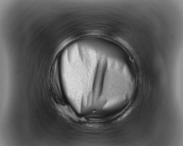 X0000086291129200704201918