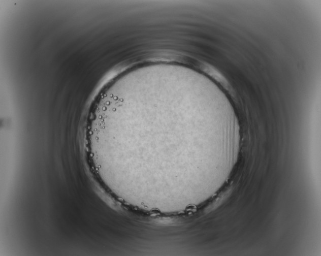 X0000086291130200704201918