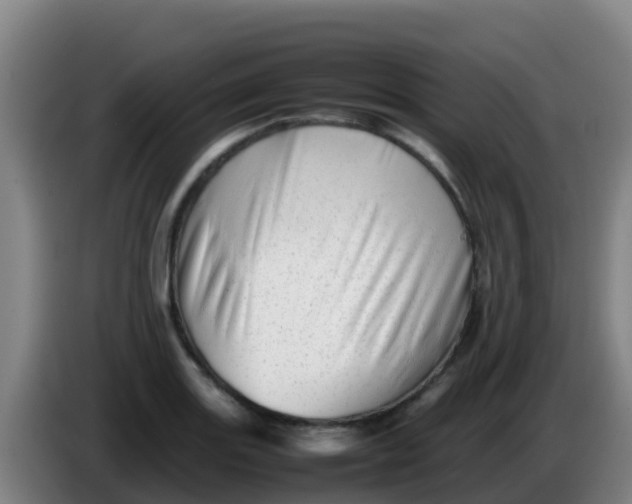 X0000086291131200704201918
