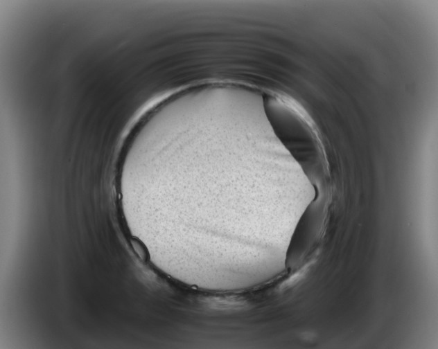 X0000086291133200704201918