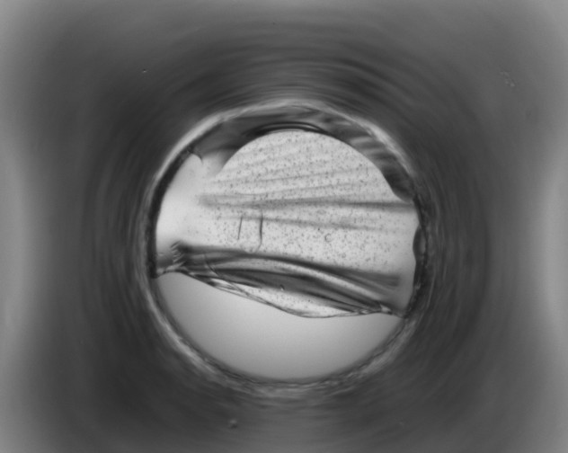 X0000086291134200704201918