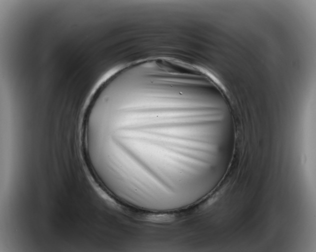 X0000086291135200704201918