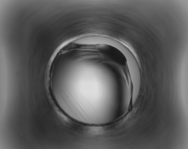 X0000086291136200704201918