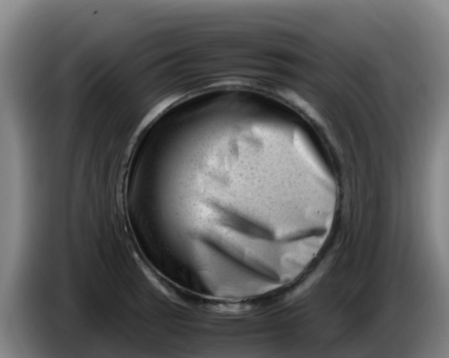 X0000086291137200704201918