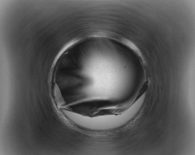 X0000086291138200704201918