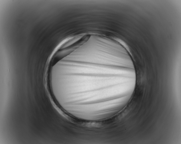 X0000086291139200704201918