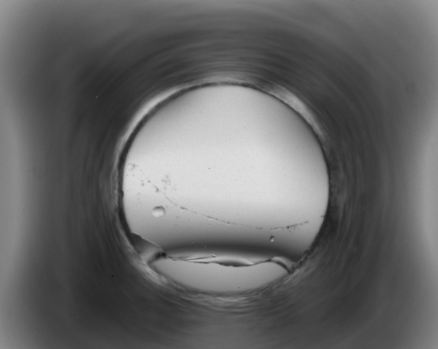 X0000086291140200704201918