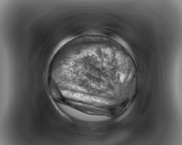 X0000086291141200704201918