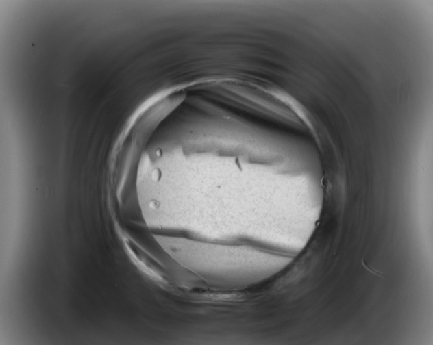 X0000086291143200704201918