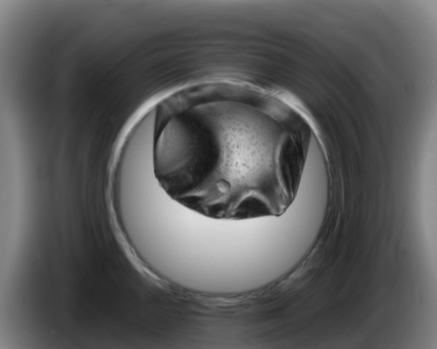 X0000086291144200704201918