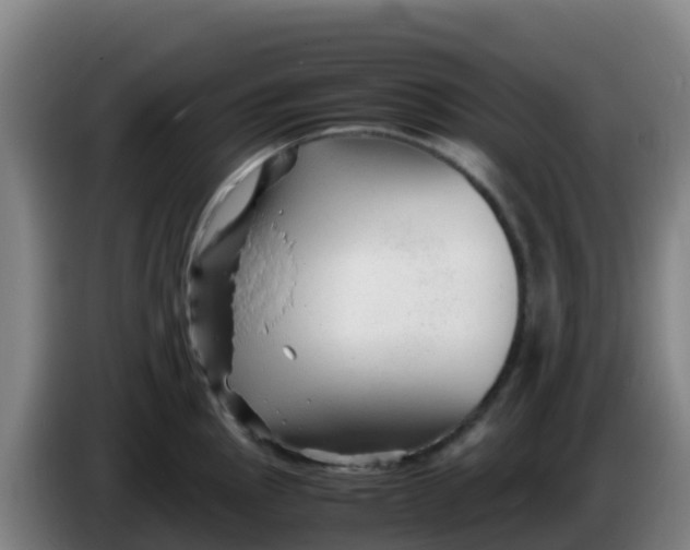 X0000086291145200704201918