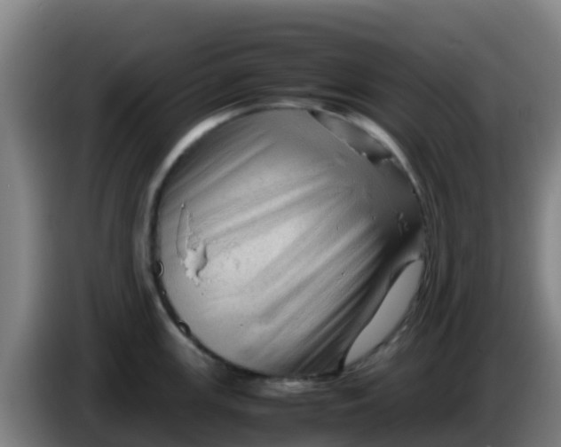 X0000086291147200704201918
