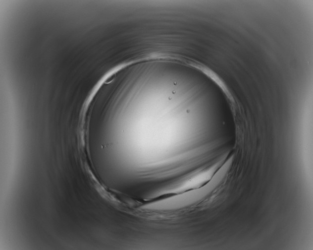 X0000086291148200704201918