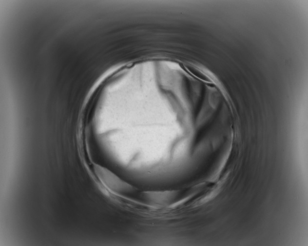 X0000086291149200704201918