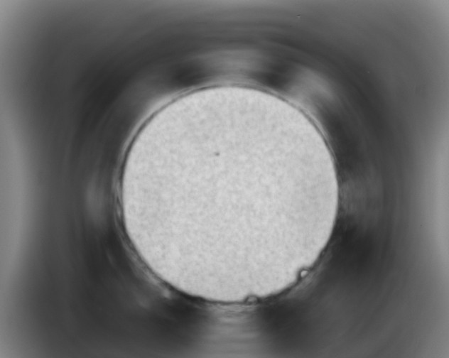 X0000086291150200704201918