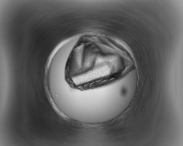 X0000086291152200704201918