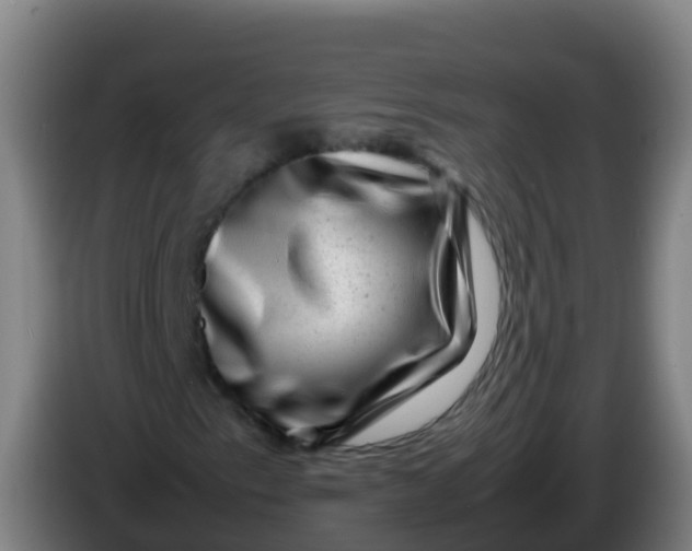 X0000086291153200704201917