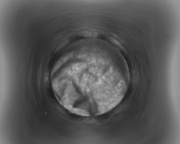 X0000086291154200704201917