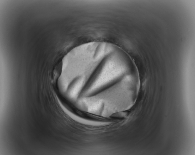 X0000086291156200704201917