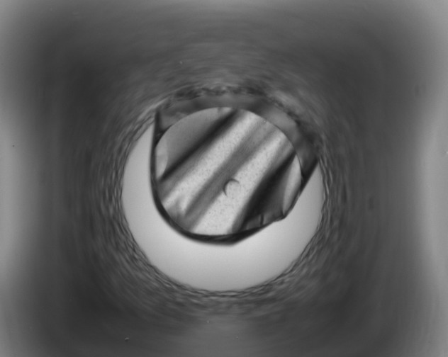 X0000086291157200704201917